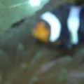 DSCN0628