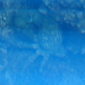 DSC00836