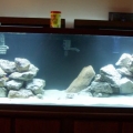 New 100 gallon tank