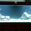 100 gallon " Day One "