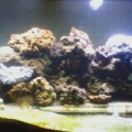 My tank.