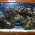 Aquascape after canister filter removed