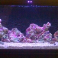 new setup aquarium