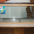 pianoreef1