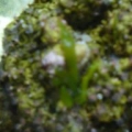 Tank_Pictures_002