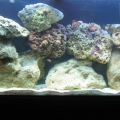 Rock Reconfigure and New Protein Skimmer(cleaned the cyna)