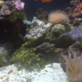 IMG00088