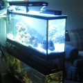 Overall, the bottom tank will soon be linked!