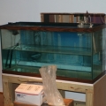 tankbuild build
