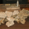 tankbuild rock1