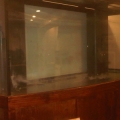 wow my first reef tank can't wait to see it done