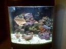 28 G hqi nano cube