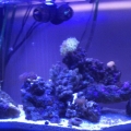 fts