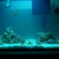 full tank shot

(still cloudy)