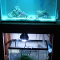 full full tank shot

(still cloudy)