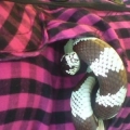 nap time!