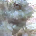 1219071629a