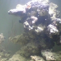 Fish tank Half 1