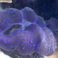 0905091405