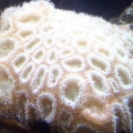 0905091759a