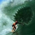 Surferdude