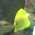 Mar 01 2007   VID00513 0001