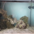 Aquascaping done