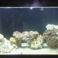 Photo0243[1]