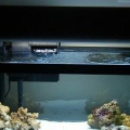 Top View