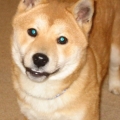 smile!