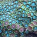 DSCN0235