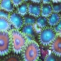 DSCN0233