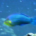 DSCN0229