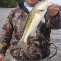 Lake Martin Spotted Bass