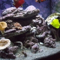 Bio Cube