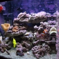 Bio Cube