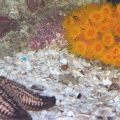 Picture 024