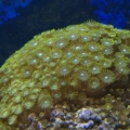 Picture 002