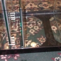 Return in center 8 1/2x10x11 3/4 total volume 4.3 gallons,
Between baffles 2x 10x11 3/4 total volume 2 gallons