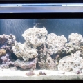 FTS