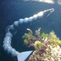 This is how I have the 2 end pieces set up in my tank from the Y on the left side.
