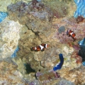 Mar 13, '09