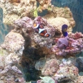 Feb 28, '09