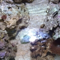 Image000
