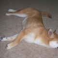 suntanning2