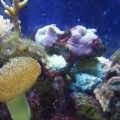 Upclose shot 3 - 3-20-10