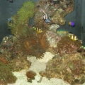 Tank at nearly 6 mons.