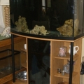 Shot of tank looking into the Living Room. 

See where the fuge will be on the right hand side. The back of the cart has hole drilled into it already and they are just above the rim of the 10gallon tank.