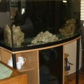 Shot of tank looking into the dining room.

The canopy I'm making will be onoe (or both) of the colors in the table, that was an ugly cheap Ikea table but I refinished to be something pretty.