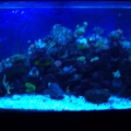 3-29-10 Update